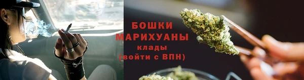 гидра Няндома